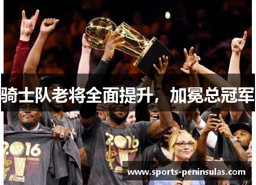骑士队老将全面提升，加冕总冠军